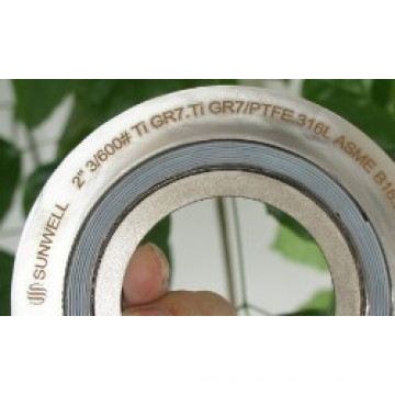 Materiales especiales Spiral Wound Gaskets Ti